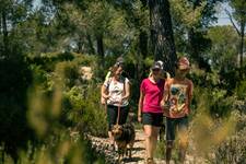 © LA CADIÈRE-D'AZUR - Le bois du Défends - ©Olivier Octobre