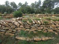 © LE BEAUSSET - Tête de Cade - Marjorie Ughetto - Autres Regards