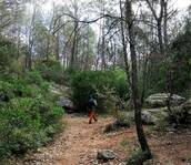 © LE BEAUSSET - Tête de Cade - Marjorie Ughetto - Autres Regards