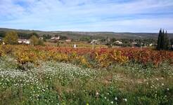 © LE CASTELLET - Font de Mars - Stéphane Auffret - Accompagnateur en montagne