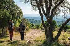 © RIBOUX - Le sentier des deux chapelles - ©Florine Tournier