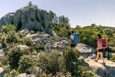 © SIGNES - L'éléphant de pierre - ©Olivier Octobre