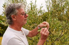 © #RDVduParc • Initiation à la taille de l'olivier_Riboux - WeGo productions-jean claude Flaccomio