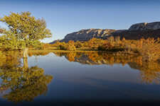 © #RDVduParc • La trajectoire de l'eau en Sainte-Baume_Le Beausset - Olivier Brian