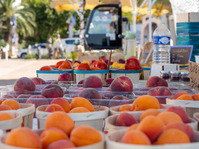 © Marché Les Pieds dans l'eau_Saint-Cyr-sur-Mer - ©Office de tourisme de Saint-Cyr-sur-Mer / Inès Da Fonseca