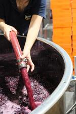 © Pieracci Estate - Domaine Pieracci