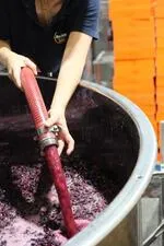 © Domaine Pieracci - Domaine Pieracci