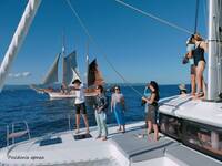 © Posidonia Apnea_Bandol - Posidonia Apnea_Bandol