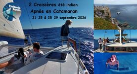 © Posidonia Apnea_Bandol - Posidonia Apnea_Bandol