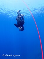 © Posidonia Apnea_Bandol - Posidonia Apnea_Bandol