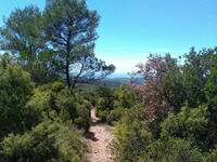 © Les Charbonnières - Département du Var
