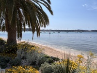 © Plage du Casino_Bandol - Plage du Casino