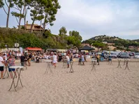 © Sardinade & DJ on the beach_Saint-Cyr-sur-Mer - ©Office de tourisme de Saint-Cyr-sur-Mer -  Inès Da Fonséca