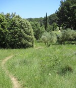 © Atelier - balade - Le chemin qui n’existait pas_Le Beausset - ©Var
