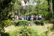 © Visite guidée du Jardin des Méditerranées_Rayol-Canadel sur Mer - DR