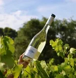 © vin-domaine-viticole-souviou - Crédit photo domaine Souviou