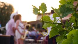 © Concert de Naestro , king de l'Opéra Urbain_Saint-Cyr-sur-Mer - ©Office de tourisme de Saint-Cyr-sur-Mer -  Joan Costeja