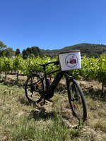 © Wine Tour Bandol à vélo électrique – Dégustation de vins en Provence_Saint-Cyr-sur-Mer - Wine and ride