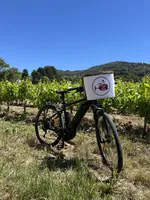© Wine Tour Bandol à vélo électrique – Dégustation de vins en Provence_Saint-Cyr-sur-Mer - Wine and ride