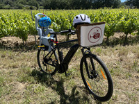 © Wine Tour Bandol à vélo électrique – Dégustation de vins en Provence_Saint-Cyr-sur-Mer - Wine and ride