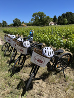 © Wine Tour Bandol à vélo électrique – Dégustation de vins en Provence_Saint-Cyr-sur-Mer - Wine and ride