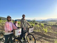 © Wine Tour Bandol à vélo électrique – Dégustation de vins en Provence_Saint-Cyr-sur-Mer - Wine and ride