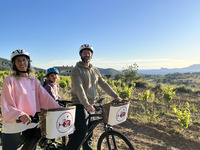 © Wine Tour Bandol à vélo électrique – Dégustation de vins en Provence_Saint-Cyr-sur-Mer - Wine and ride