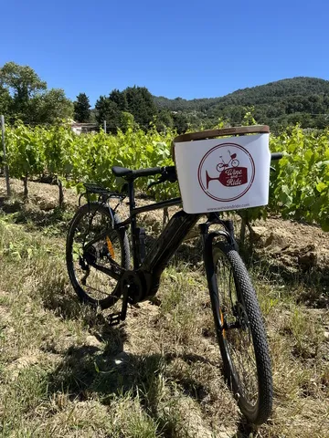 © Wine & Ride Bandol_La Cadière-d'Azur - Antoine Audet