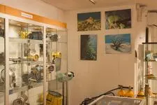 Musée de la plongée Frédéric Dumas_Sanary-sur-Mer