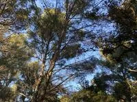 © Parc du Canet_Bandol - Parc du Canet_Bandol