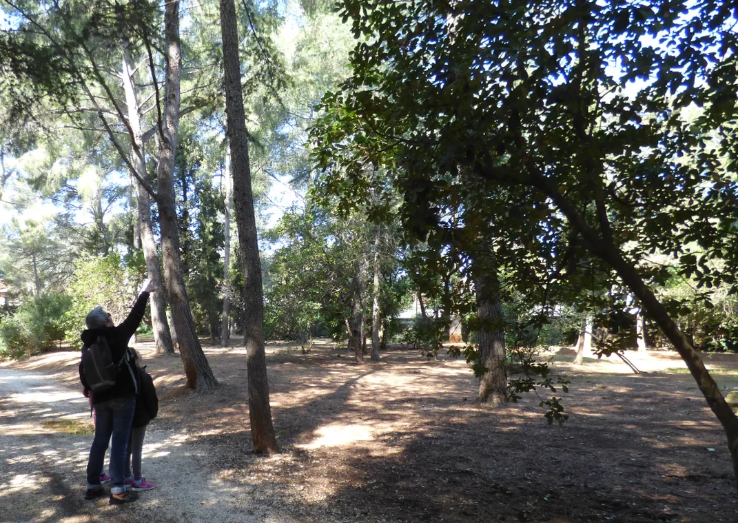 © Parc du Canet_Bandol - Parc du Canet_Bandol