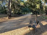 © Parc du Canet_Bandol - Parc du Canet_Bandol