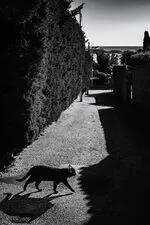 © Vivien Carmagnolle_Bandol - Ville de Bandol