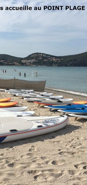 © Location de Surfs et stand up paddle - LEC Surf Club