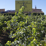 © Domaine Ray Jane - Le Castellet - Domaine Ray Jane - Le Castellet