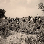 © Domaine de Cabaudran - Crédit photo famille AMIC