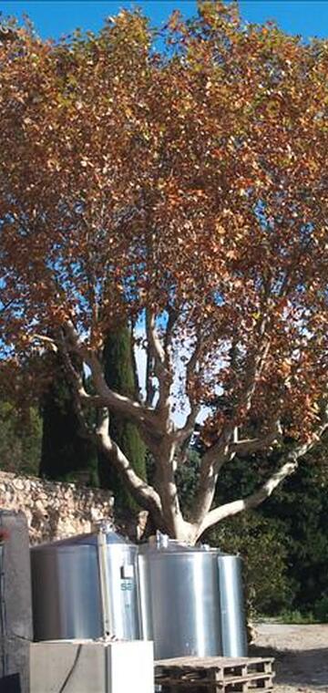 © Château Val d'Arenc - Château Val d'Arenc