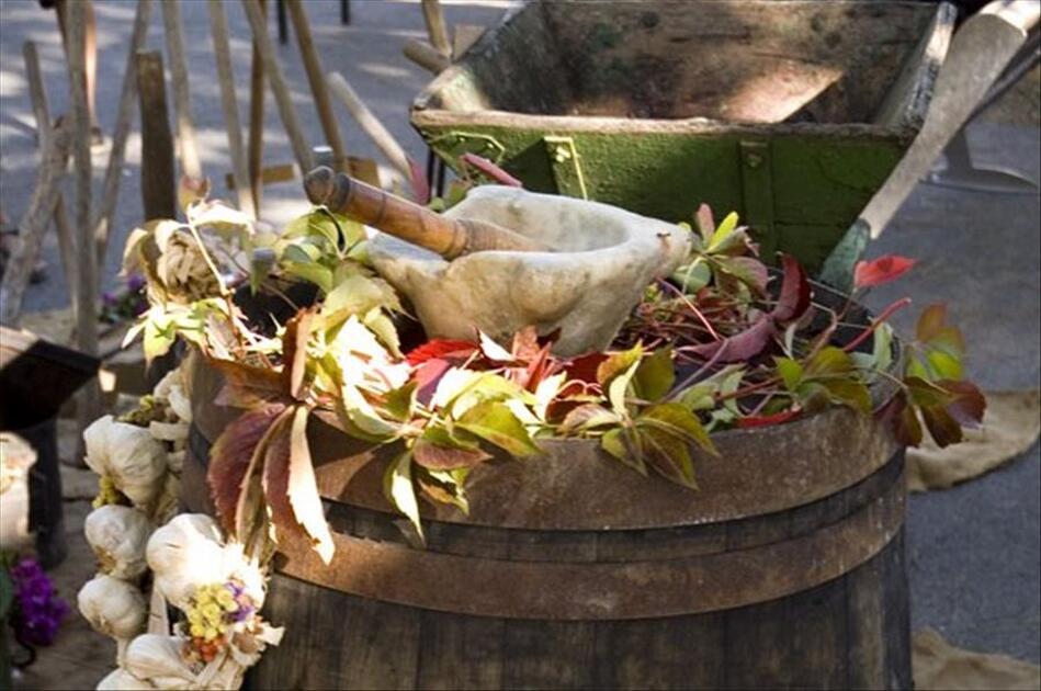© Brasserie de l'Europe - Brasserie de l'Europe