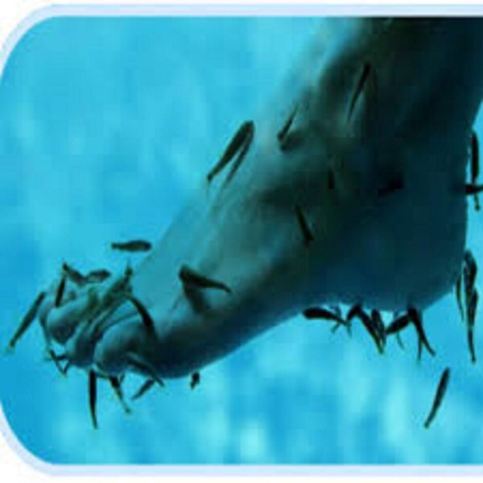 © Fish & Spa - Fish & Spa