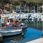 © Marché estival du port de la Madrague - Office de Tourisme de Saint-Cyr-sur-Mer