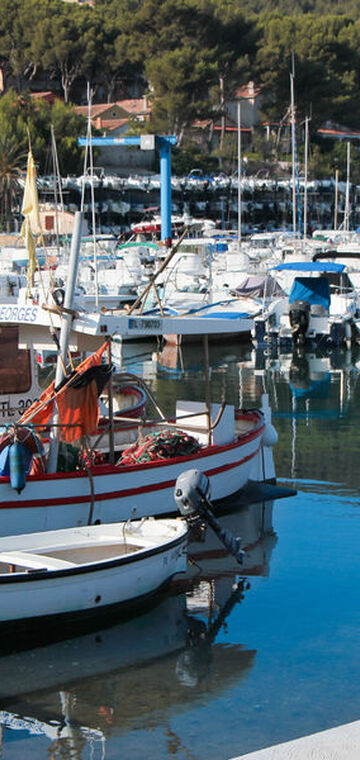 © Marché estival du port de la Madrague - Office de Tourisme de Saint-Cyr-sur-Mer