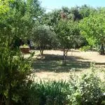 © Garden - M. Dessolis