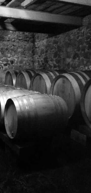 © Domaine Castell Reynoard - Julien Castell