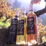 © Domaine Costes Gallines - Régine Tomasini