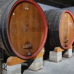 © Domaine de Cagueloup - Domaine de Cagueloup - Office de tourisme de Saint-Cyr-sur-Mer