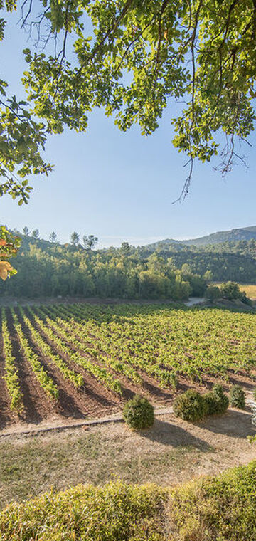 © chateau de cancerilles - chateau de cancerilles