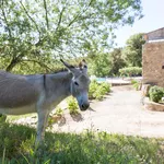 © chateau de cancerilles - chateau de cancerilles
