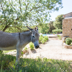 © chateau de cancerilles - chateau de cancerilles