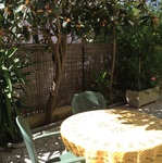 © Terrasse - Denis Micheline