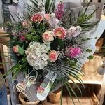 © Le Plan Fleuri - Le Plan Fleuri